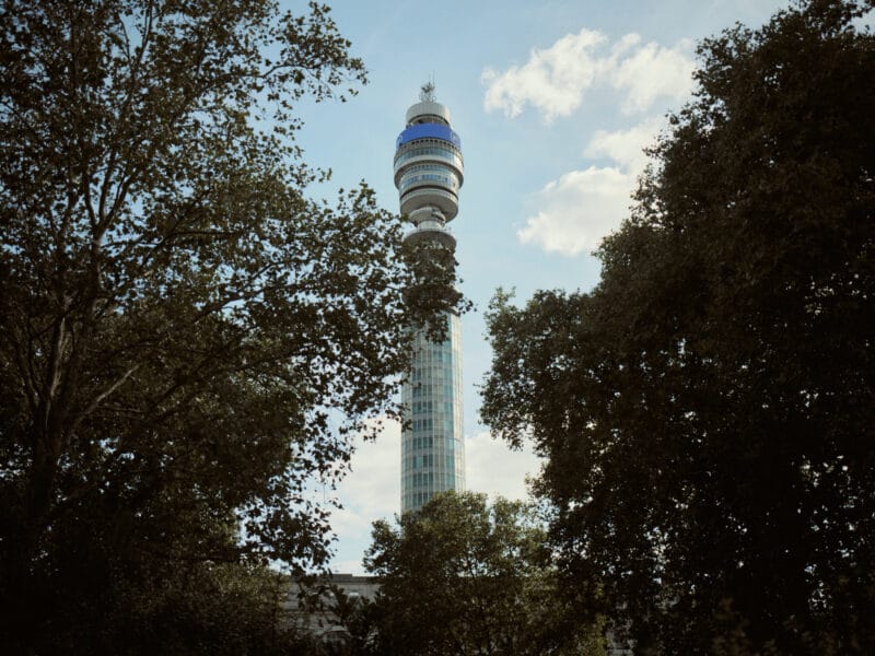 NEWMAN-SUMMER-SELECTS_RLD-133-800×600